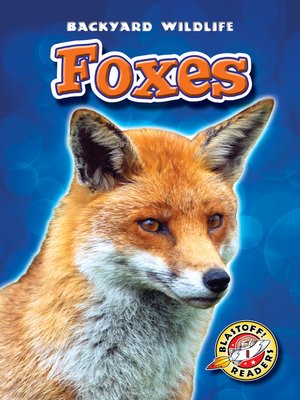 cover image of Foxes
